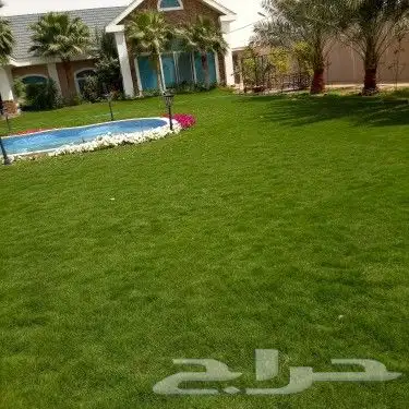 تنسيق حدائق 1