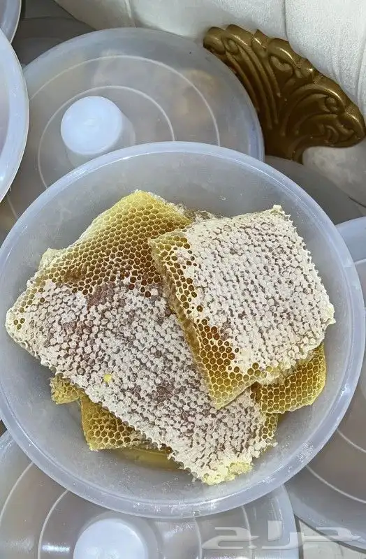 عسل سدر عسل سمرة عسل طلح مضمون على الشرط 0