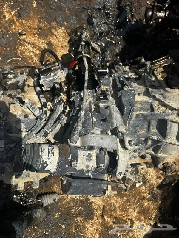 جيرات دينا اسوزو رأس تريلا 0