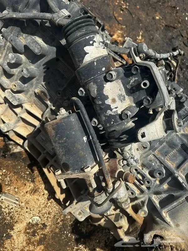 جيرات دينا اسوزو رأس تريلا 2