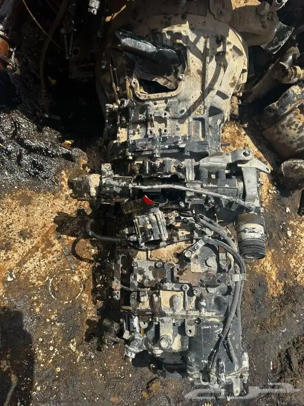 جيرات دينا اسوزو رأس تريلا 1