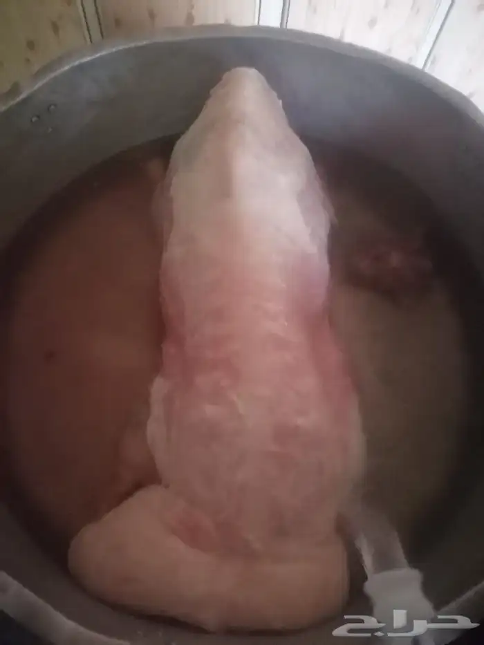 طباخ متنقل ابو بدر داخل الرياض وخارجها 6