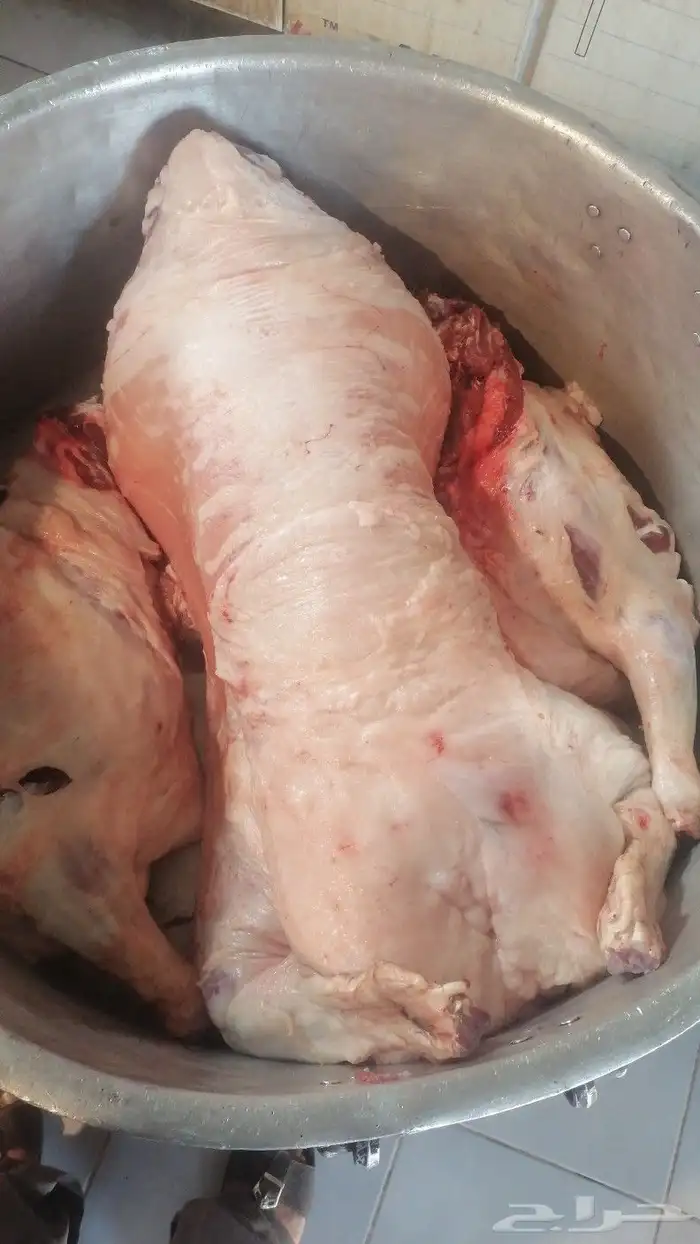 طباخ متنقل ابو بدر داخل الرياض وخارجها 5