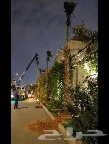 زراعه الورد الطبيعى والتيل الطبيعى وقص الاشجار 9