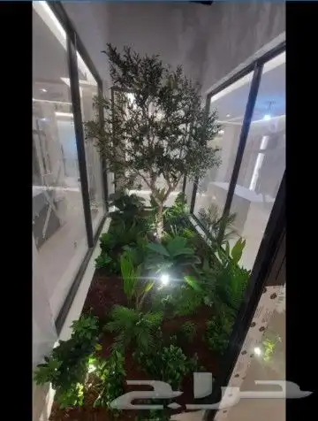 زراعه الورد الطبيعى والتيل الطبيعى وقص الاشجار 3