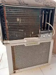 القنفذه القوز 2