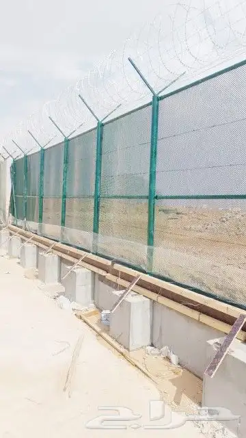 توريد وزراعه النخل وتركيب الشبوك 9
