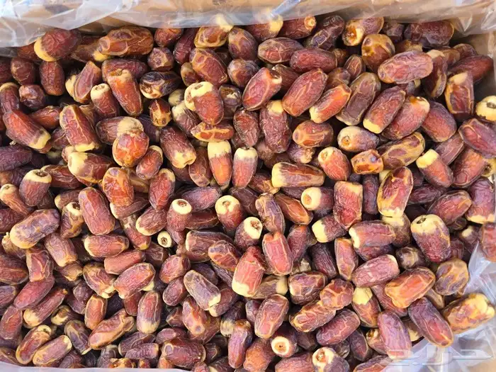 صقعي شارب قشوره ملكي 12