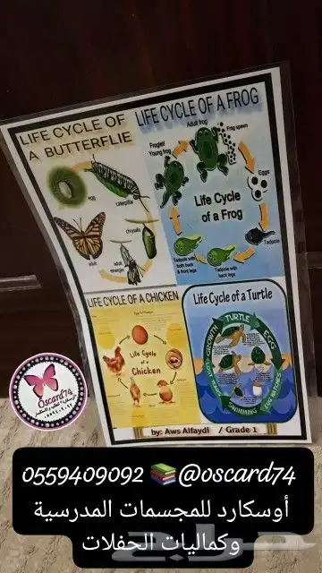 مشروع تخرج و مجسمات مدرسية للطلاب 4