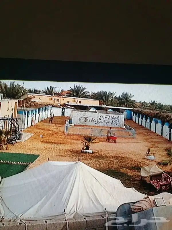 إيواء الخيل العربي بريده البصر 0