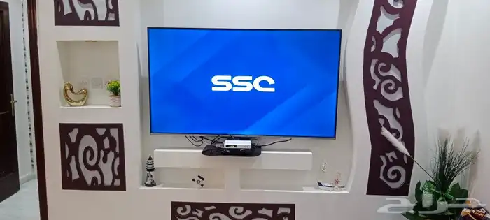 كاميرات فني دش تركيب شاشه 1