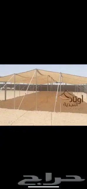 مضلات غنم للبيع 6