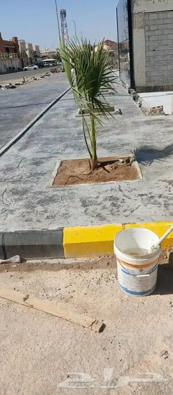 الخرسانه المطبوعة ملونه ديكورات صبة مروحة ميزانية صبه الاارض 0