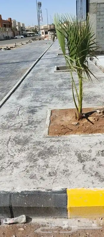 الخرسانه المطبوعة ملونه ديكورات صبة مروحة ميزانية صبه الاارض 1