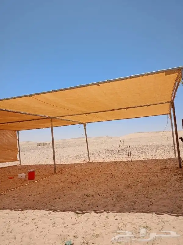 مضلات ابل متنقله او غنم 5