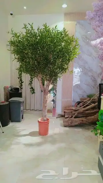 اشجار زيتون صناعي 4