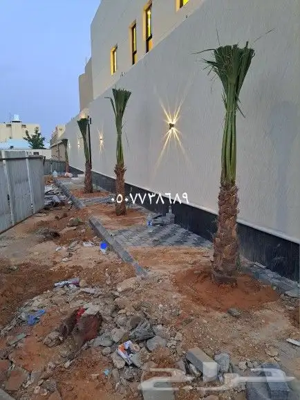نخل لبيع موصل لموقع المطلوب 14