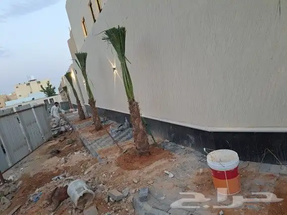 نخل لبيع موصل لموقع المطلوب 16