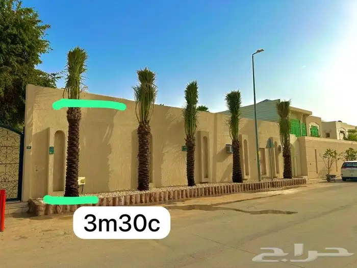 نخل لبيع موصل لموقع المطلوب 25