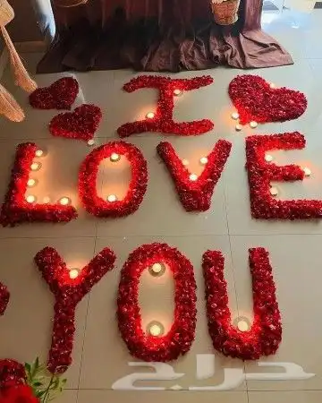 تنسيق فنادق 11