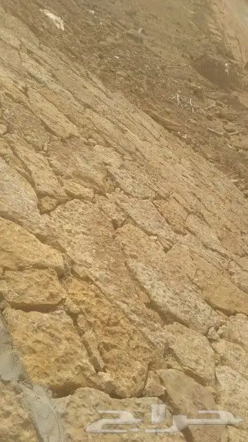 مقول تراث 5
