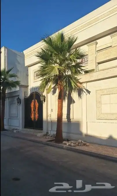 مشاتل واشنطني لسناالوحيدون ولاكن الافضل اسعار مناسبه 9