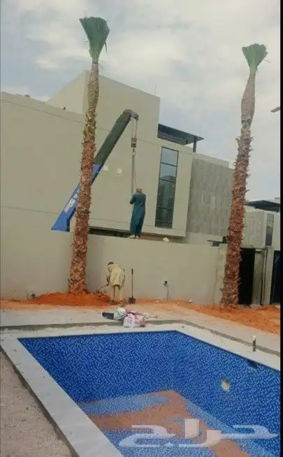 مشاتل واشنطني لسناالوحيدون ولاكن الافضل اسعار مناسبه 6