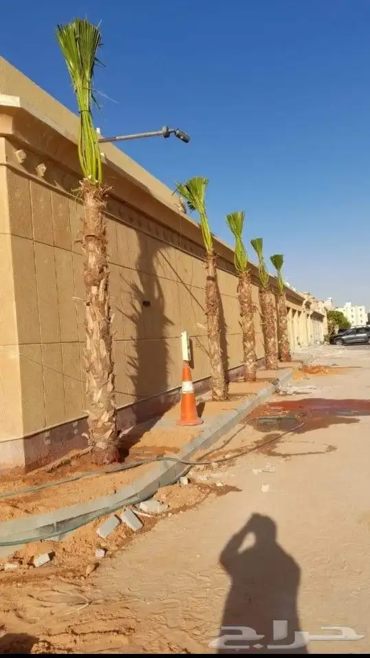 مشاتل واشنطني لسناالوحيدون ولاكن الافضل اسعار مناسبه 10