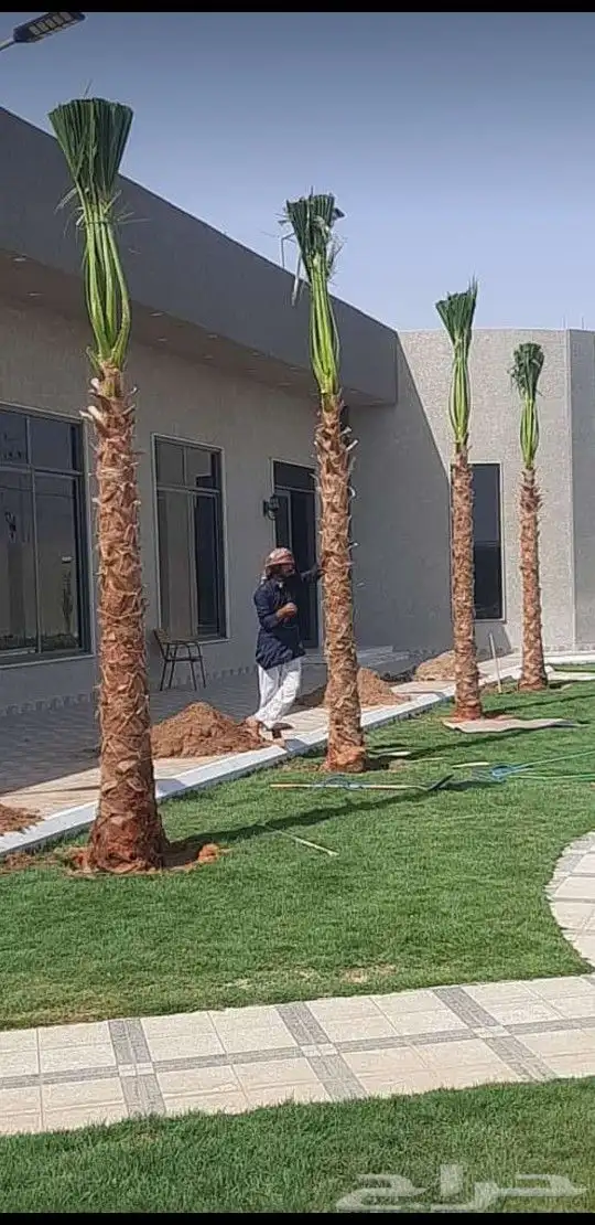 مشاتل واشنطني لسناالوحيدون ولاكن الافضل اسعار مناسبه 11