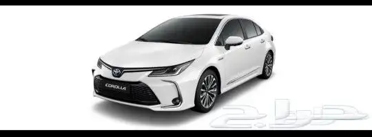 جنوط كورلا 2024 4