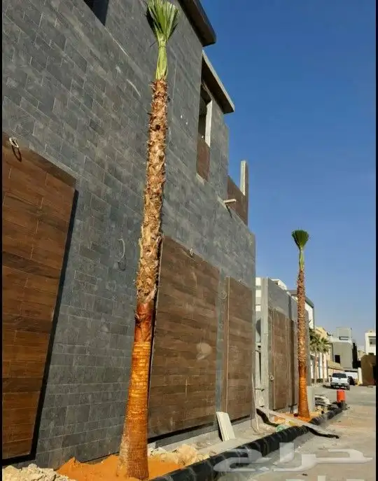 مشاتل واشنطني لسناالوحيدون ولاكن الافضل اسعار مناسبه 4