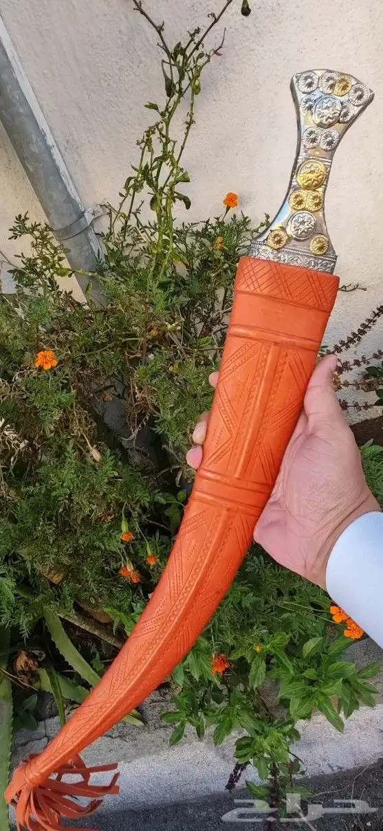 جنبيه ذريع حواشيه 0