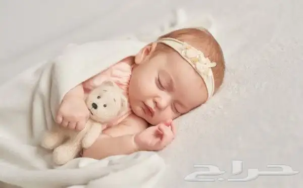 استديو مسايا لتنفيذ الشيلات والزفات بالاسماء زواج مدح تخرج 4