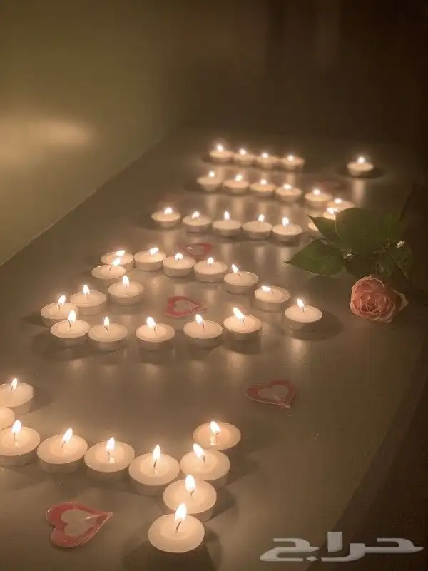 تنسيق فنادق 14