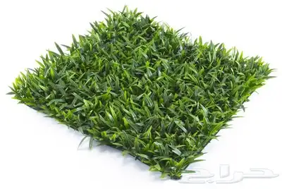 عشب جداري زارع خارجي نبات صناعي خارجي متوفر كميات 15