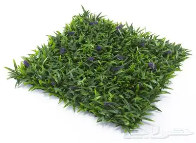 عشب جداري زارع خارجي نبات صناعي خارجي متوفر كميات 8