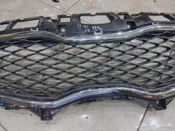 شبك كياء كارينز 2013 5