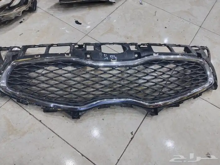 شبك كياء كارينز 2013 6