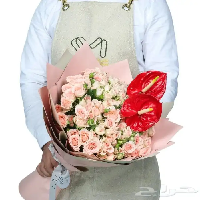 تصوير أطعمة ومنتجات  تصوير احترافي 8