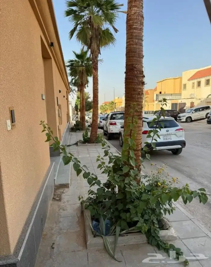 تركيب وصيانه كاميرات المراقبة وشبكات الانترنت 1