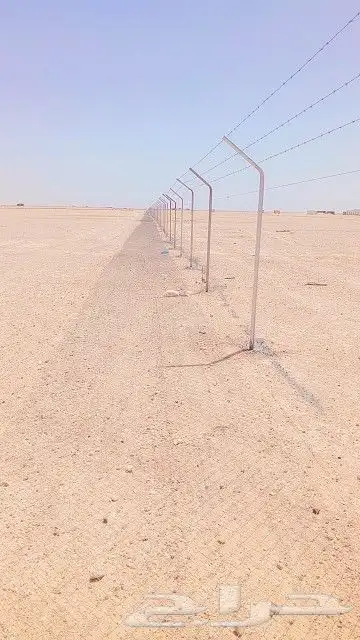 شبوك 1