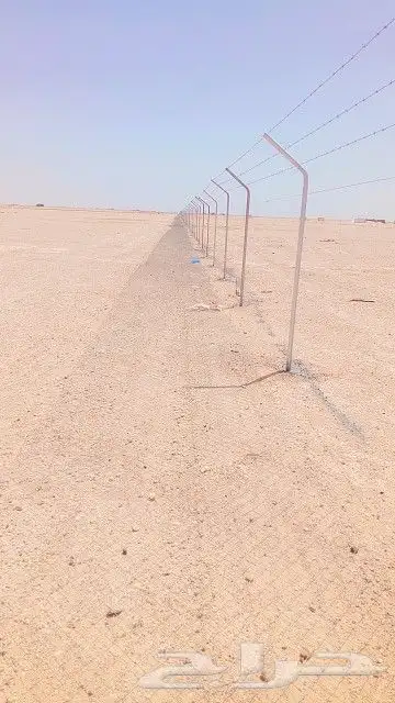شبوك 2