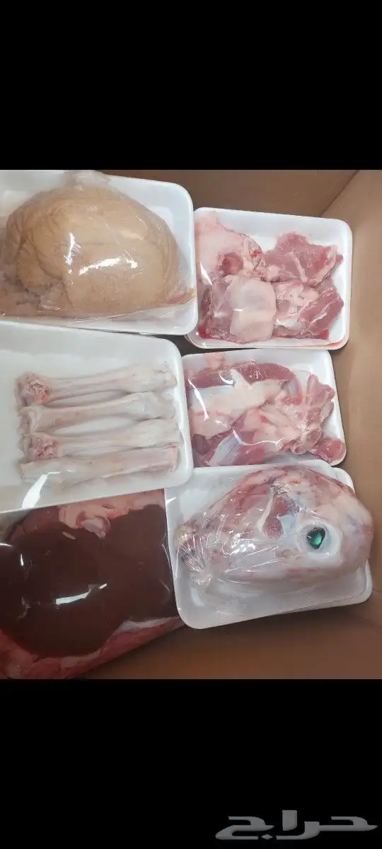 سواكني تربية نظيفة و حري وذبايح ثلاجة و طبخ مع التوصيل 3