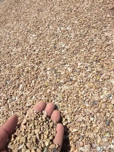 الجمله خرصان حصم مرو دفان 7