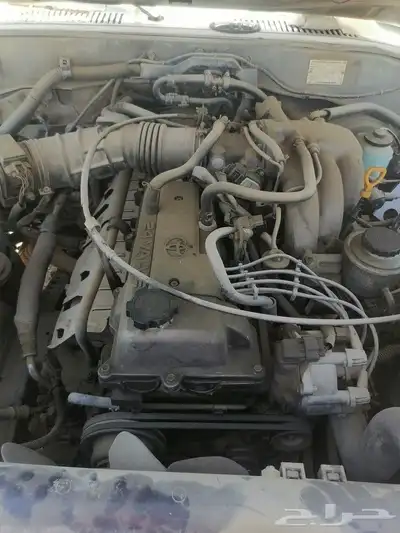ابوحنين 3