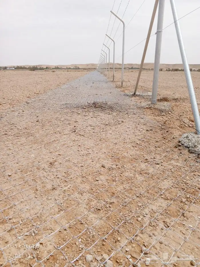 شبوك 6