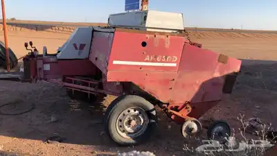 لبانه ولجر للبيع 5