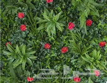 عشب ارضى عشب جدارى بسعر الجملة 7