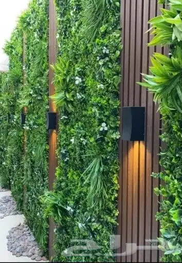 عشب ارضى عشب جدارى بسعر الجملة 4