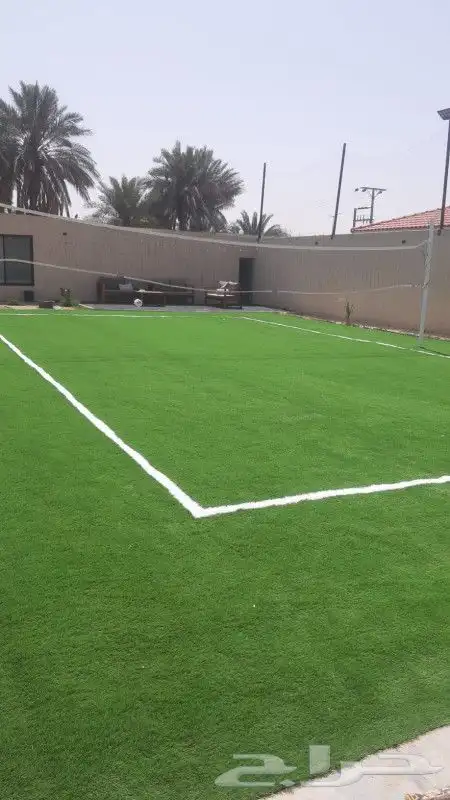 عشب ارضى عشب جدارى بسعر الجملة 0